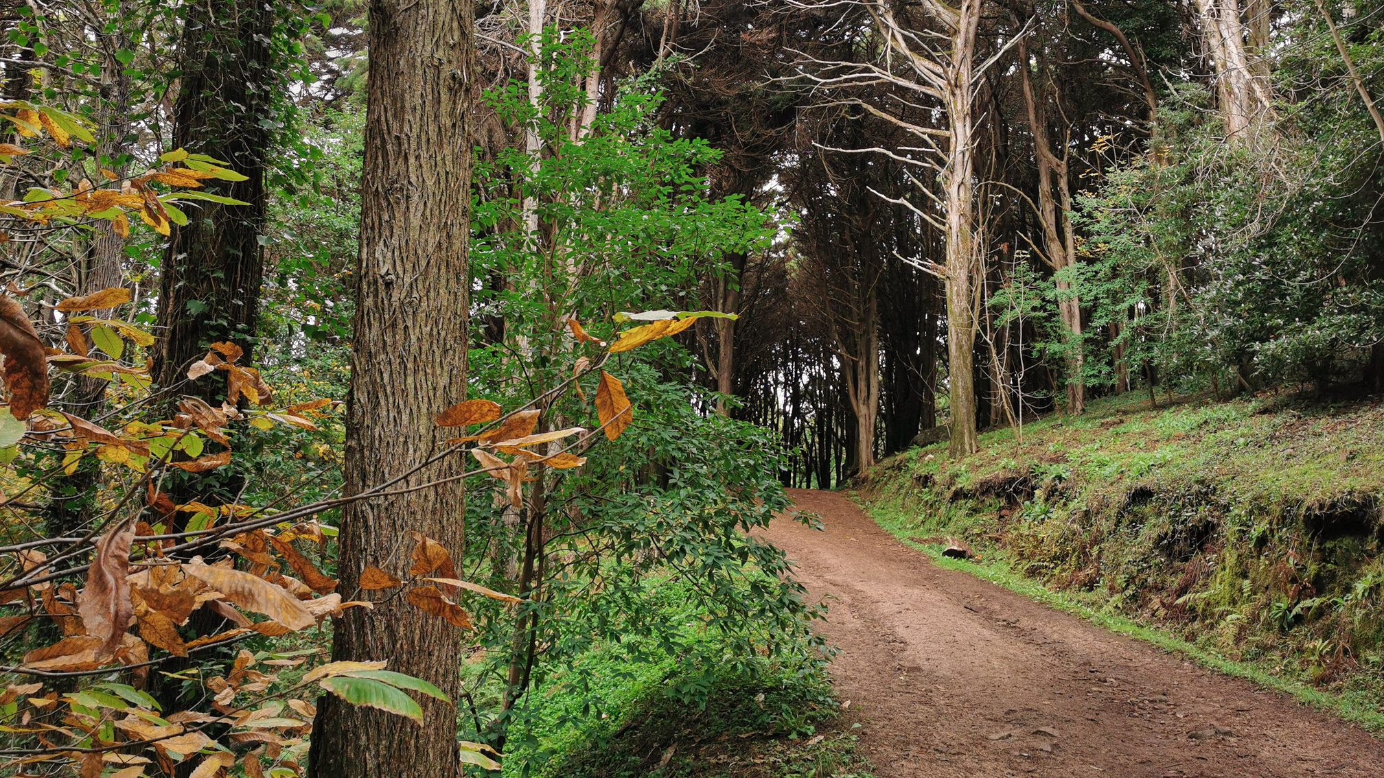 Trek & Travel - Leve como uma Peninha_Quadrado Agenda